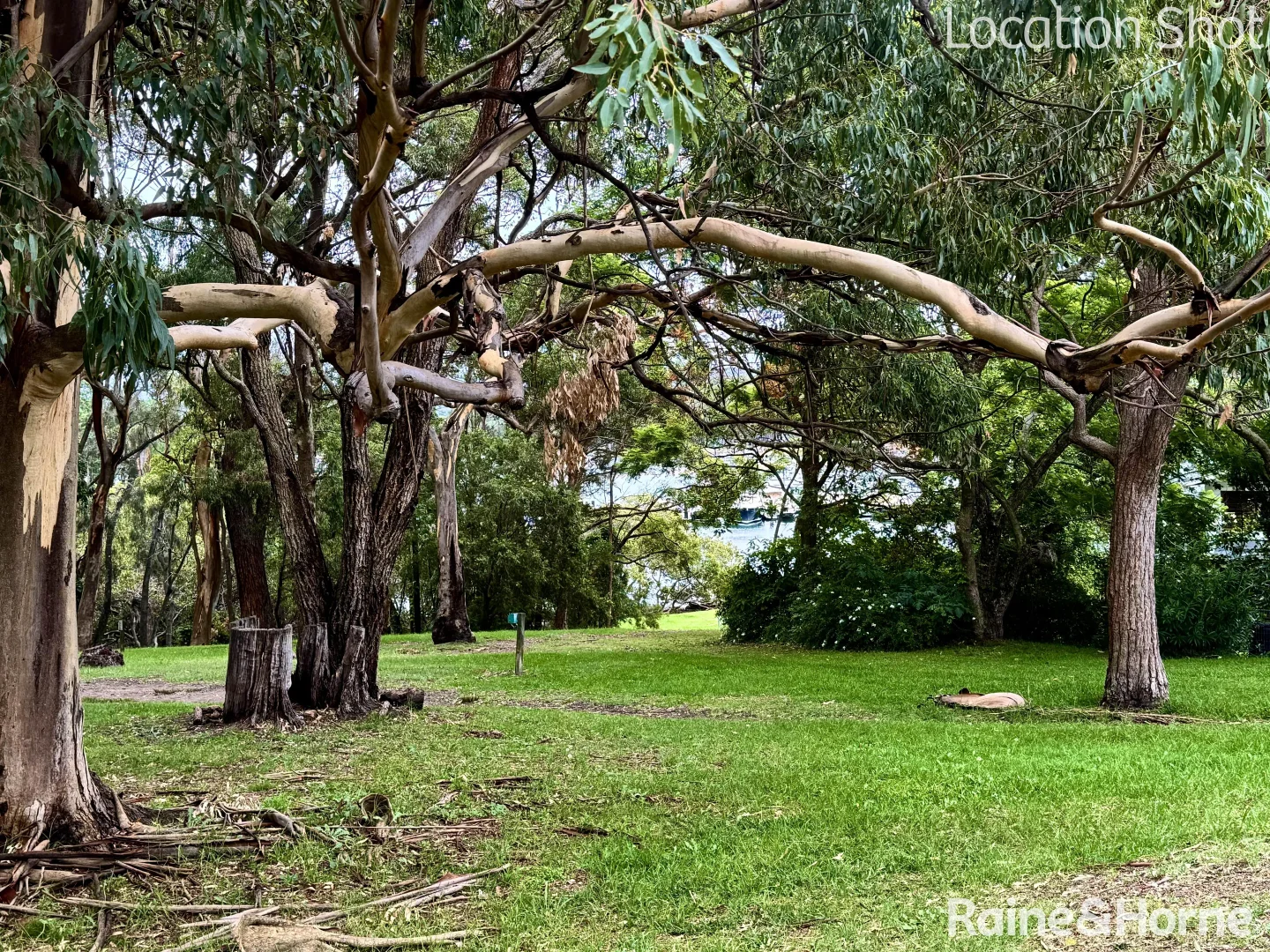 Additional image 6 of 98 Gladstone Street, Newport NSW 2106