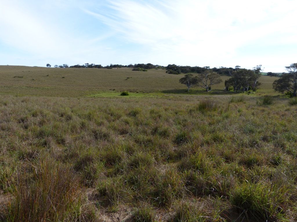 Lot 3 Princes Highway, Ashville SA 5259, Image 1