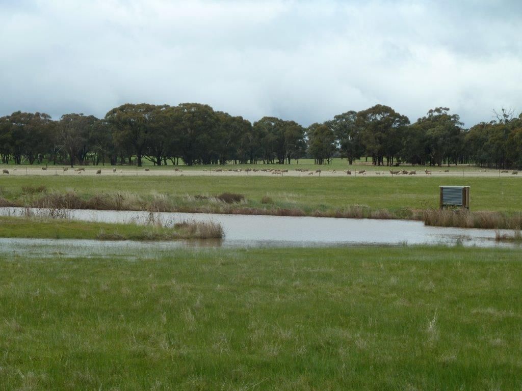 Lot 10E Lock Road, St Arnaud VIC 3478 House for Sale 325,000