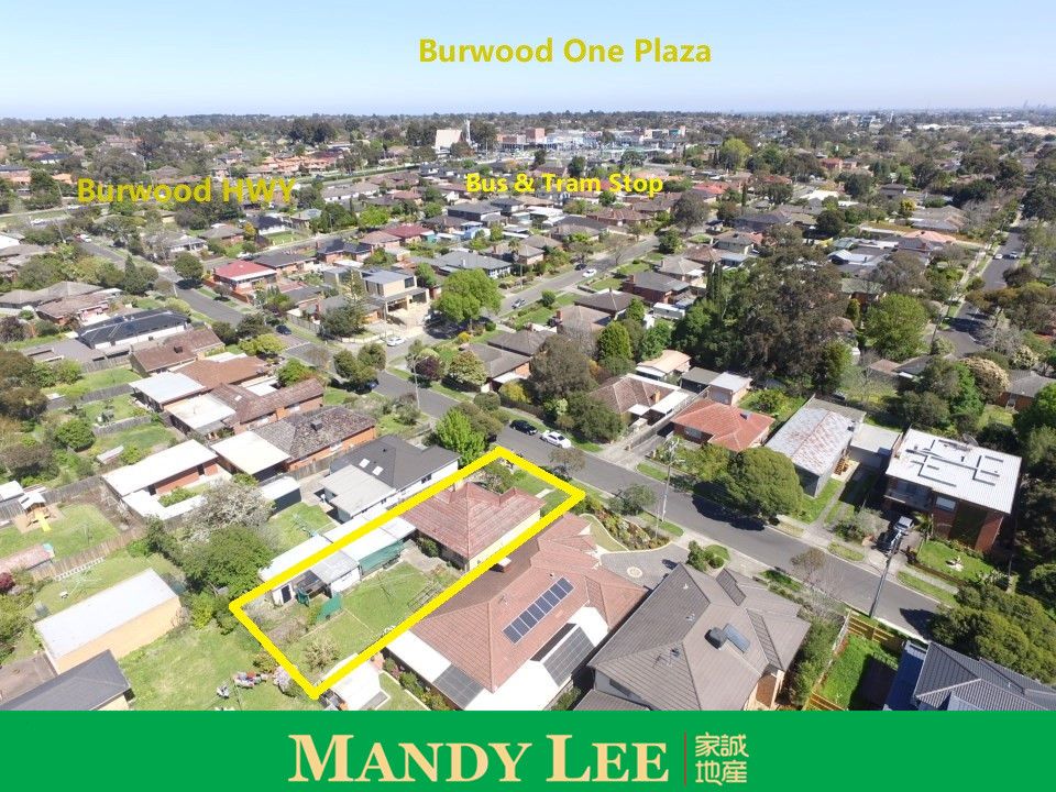 19 Tainton Road, Burwood East VIC 3151, Image 2