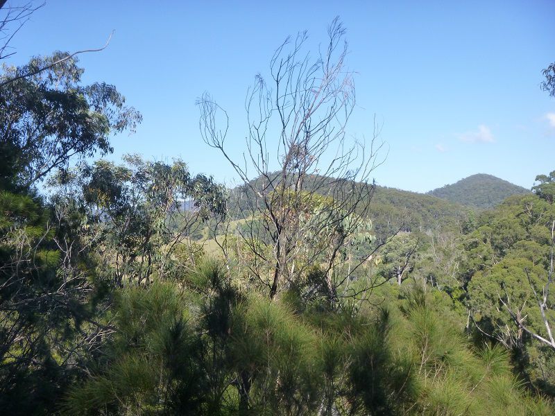 Lot 964 Mt Darragh Road, Lochiel NSW 2549, Image 2