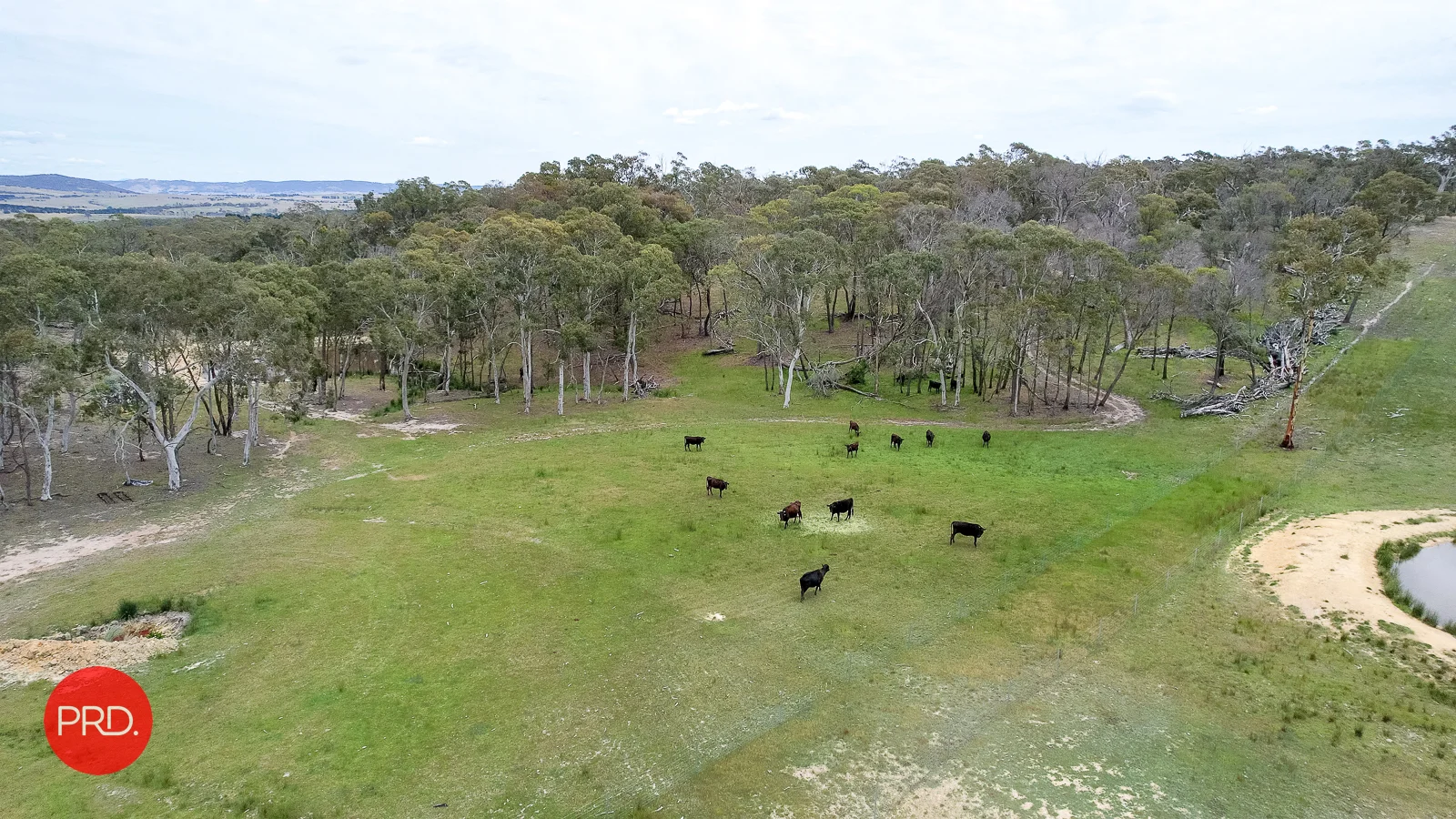 Additional image 28 of 3578 Kings Highway, Bungendore NSW 2621