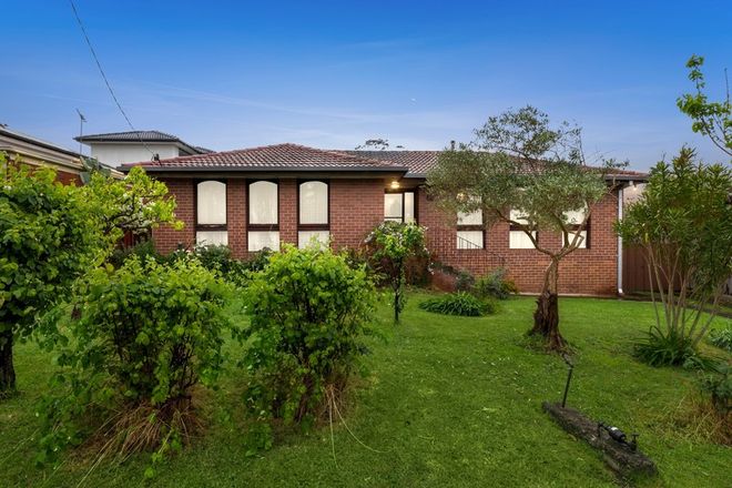 Picture of 35 Kevin Street, MOUNT WAVERLEY VIC 3149