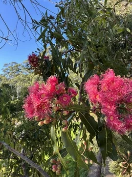 Image 13