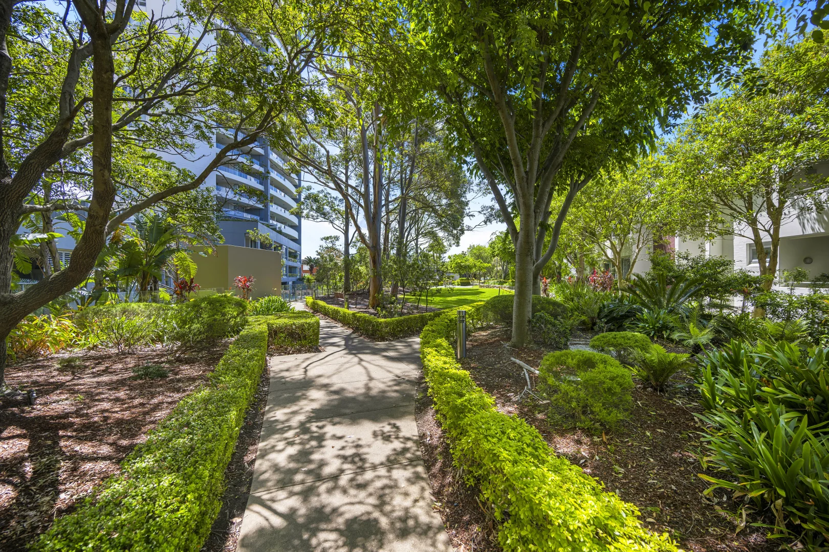 Additional image 7 of 305/1 Cambridge Lane, Chatswood NSW 2067