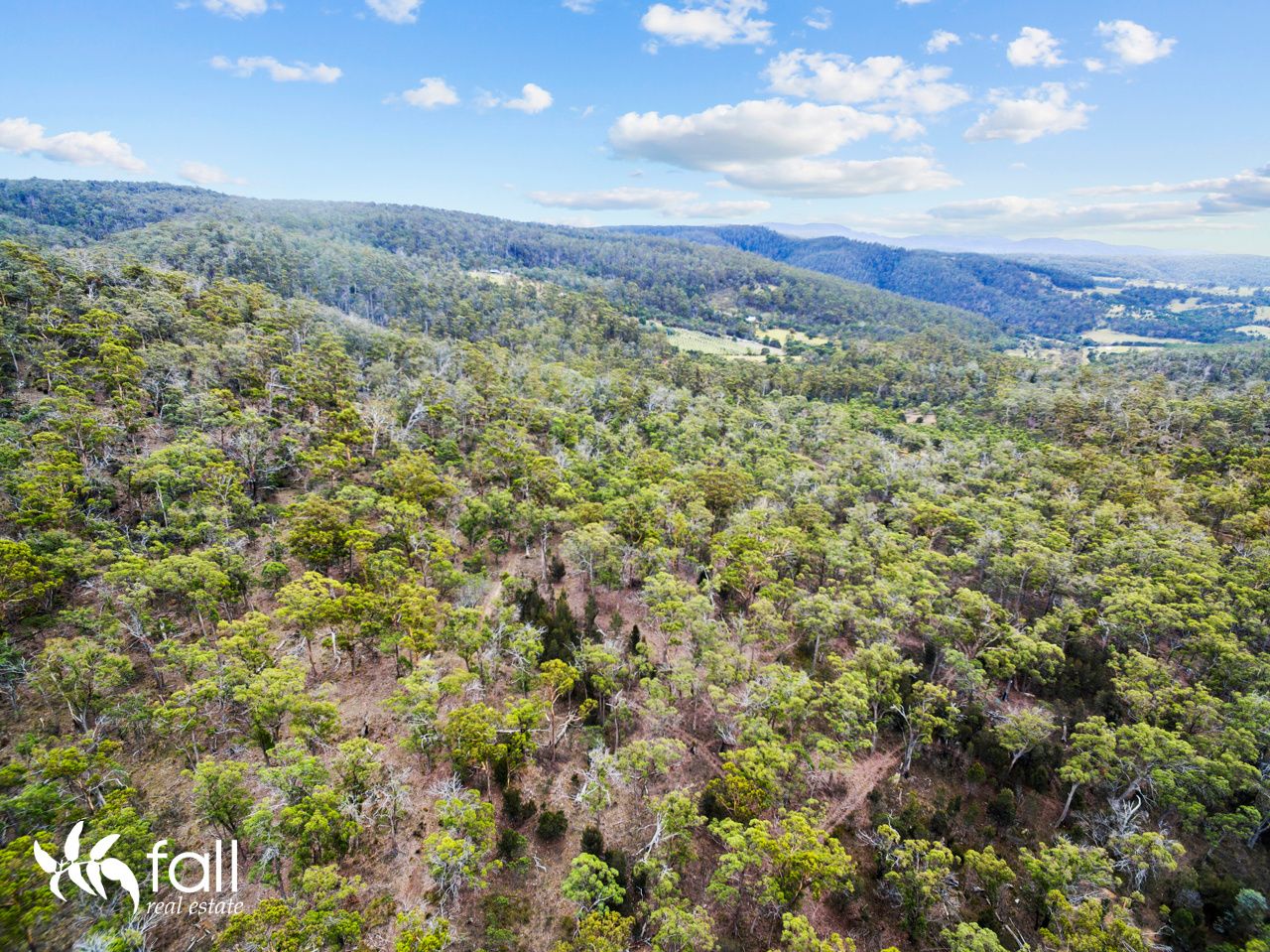 Lot 16 Swanston Road, Little Swanport TAS 7190, Image 0