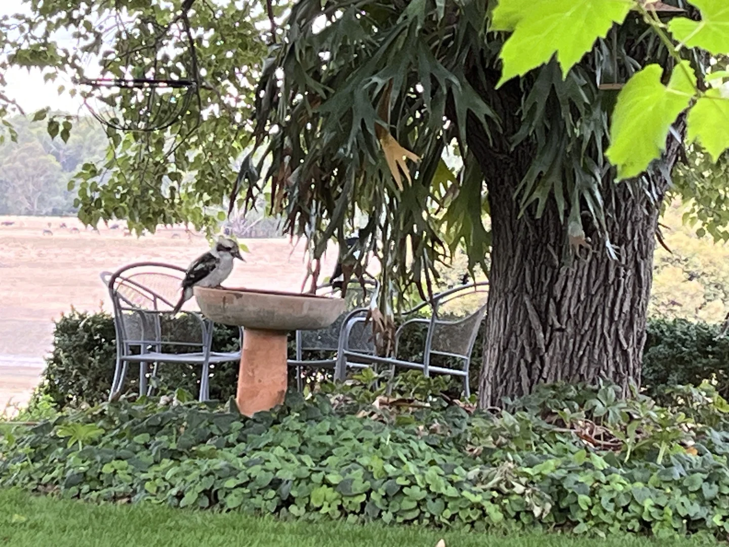 Image 32