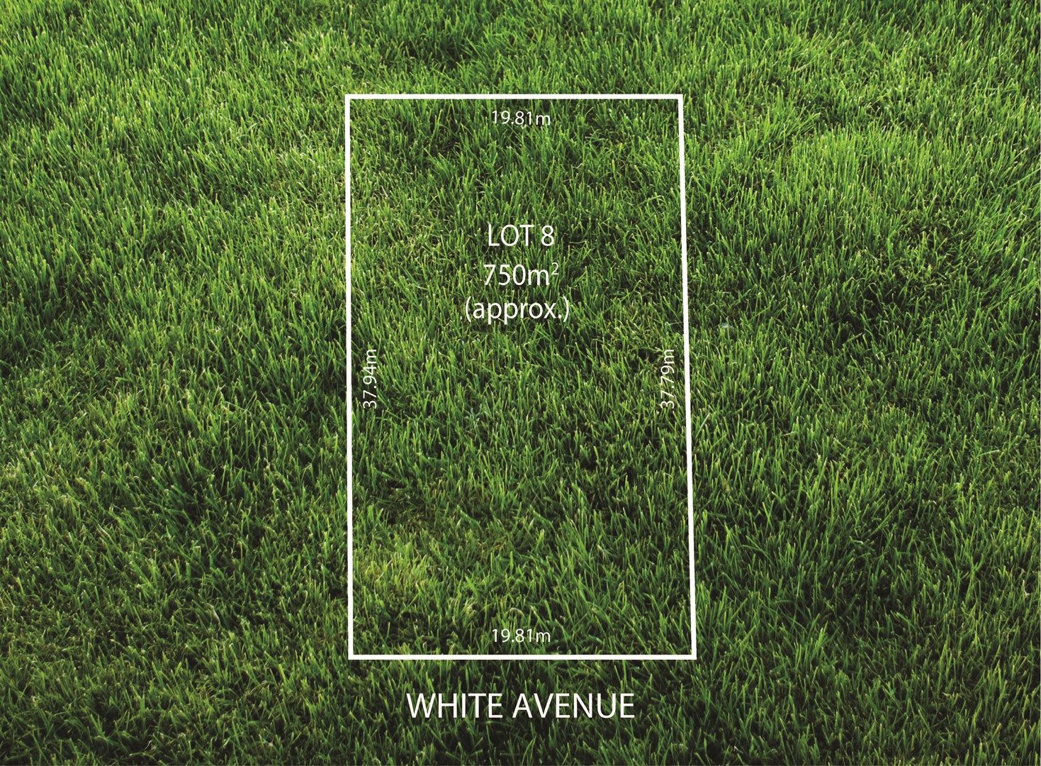 40 White Avenue, Lockleys SA 5032, Image 0