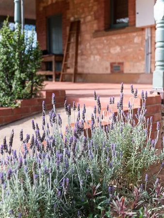 Additional image 23 of 201 Murphy Road, Barabba SA 5460