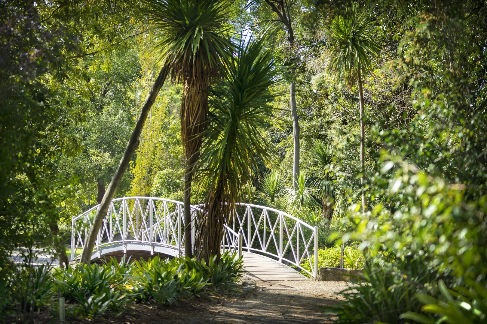 Additional image 10 of 6/218 Wattletree Road, Malvern VIC 3144