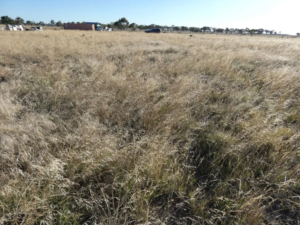 Additional image 5 of Sec 22 4 Loats Street, Minyip VIC 3392