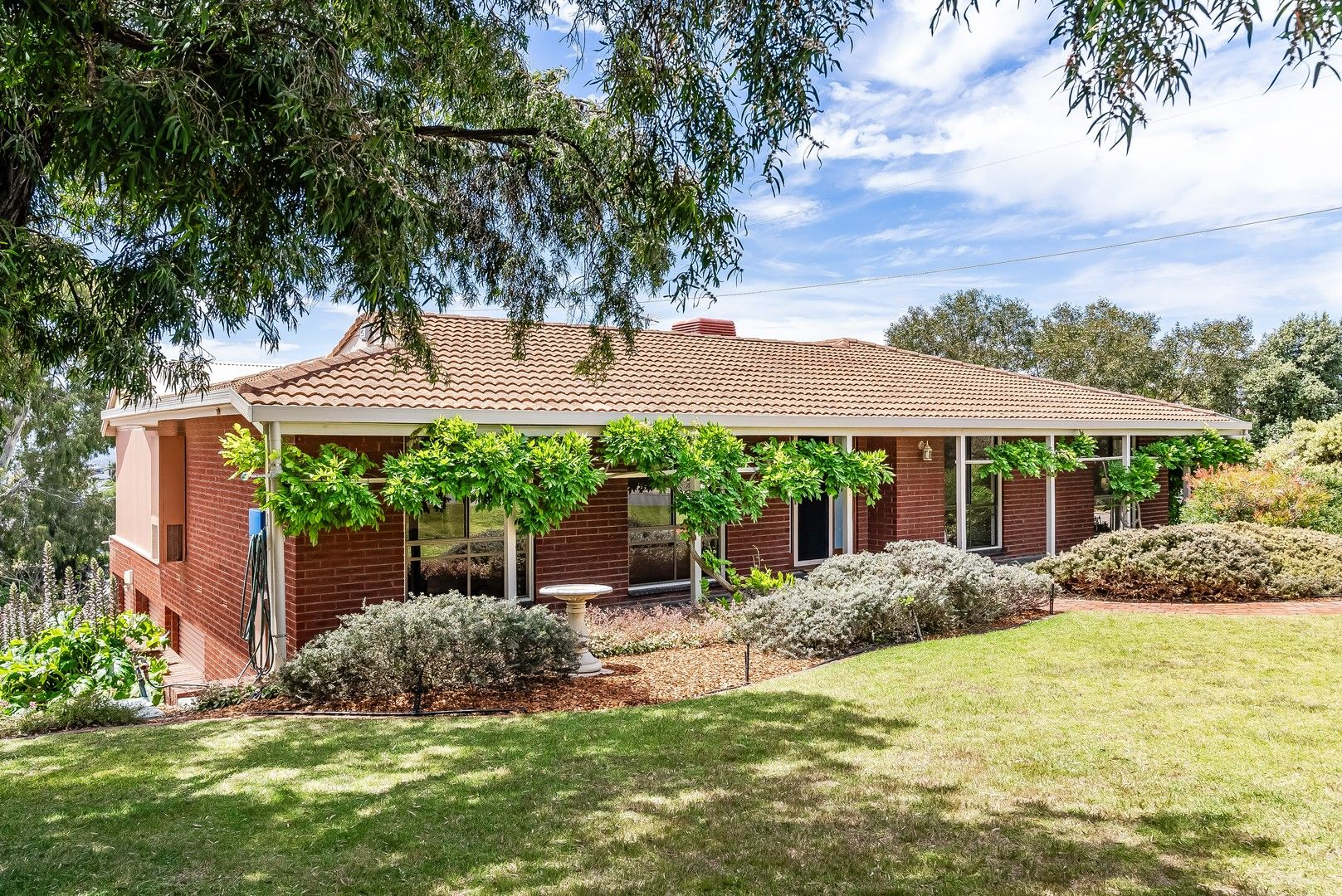 48 West Street, Seacliff Park SA 5049 Domain