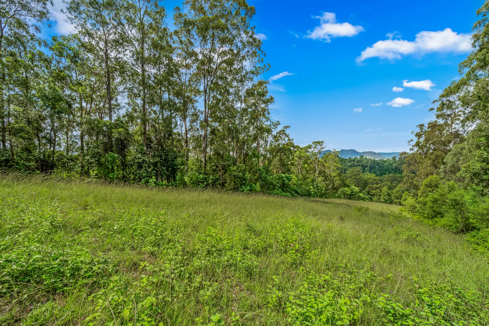 Additional image 26 of 664 Scone Road, Copeland via, Gloucester NSW 2422