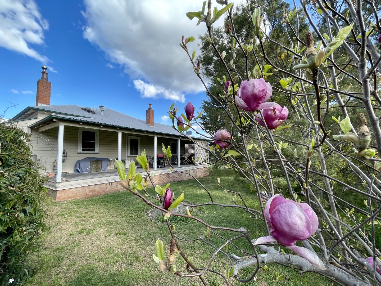 "Balloch" 68 Wilson Row, Murrurundi NSW 2338 House for Sale