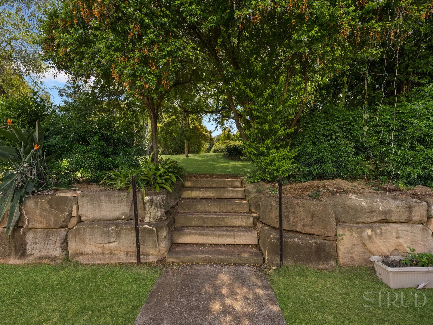 Image 34