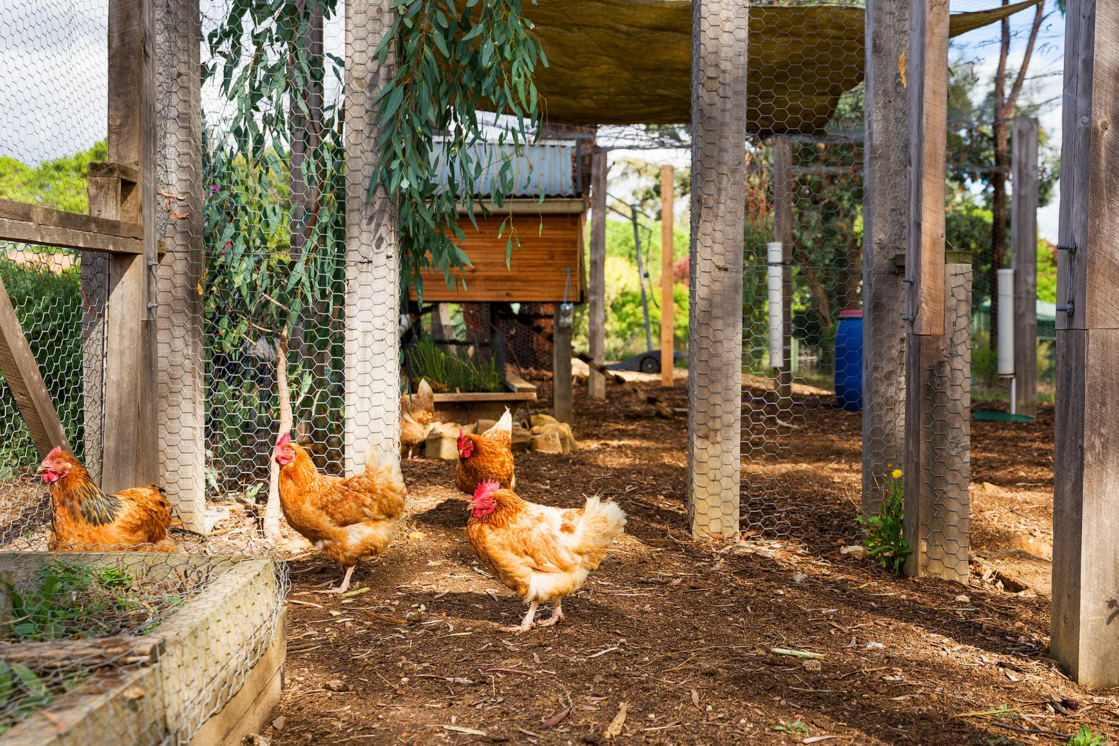 Additional image 22 of 20/19 Reckleben Street, Castlemaine VIC 3450