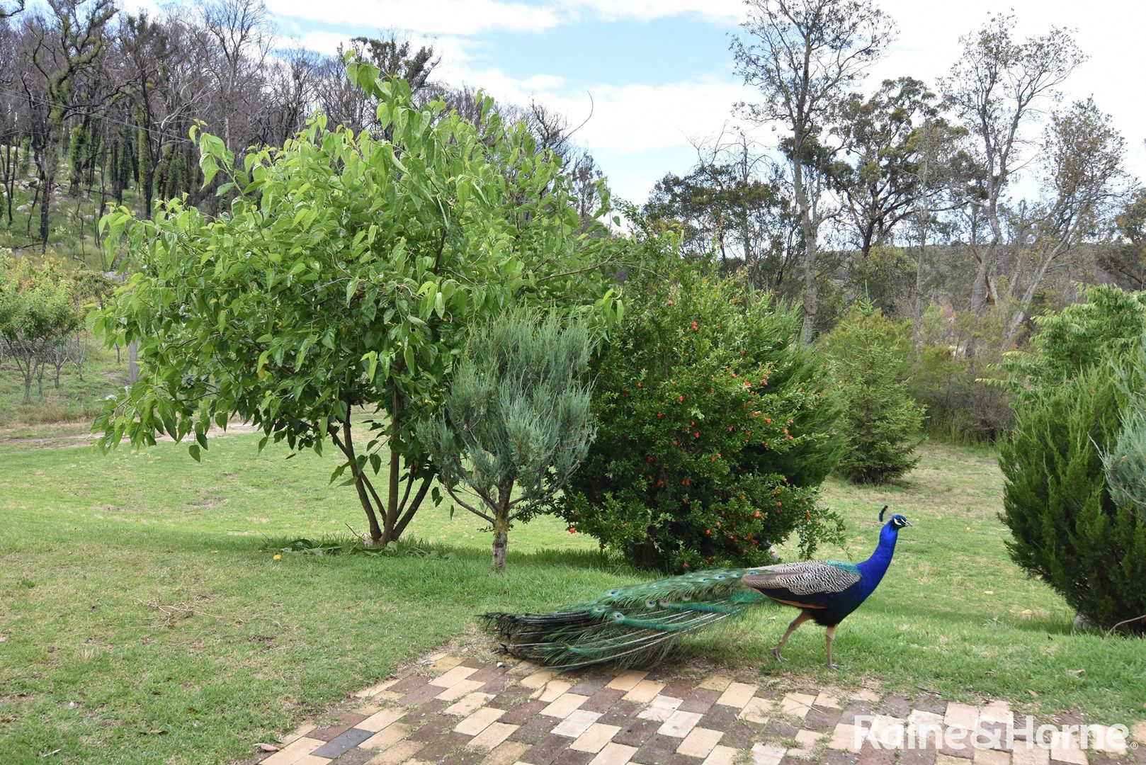 66 Sara River Road, Glen Innes NSW 2370, Image 0