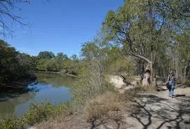 Image 38