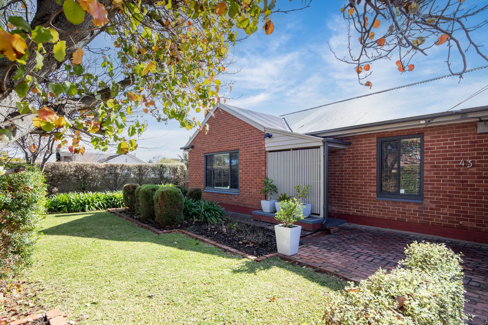 43 Wheaton Street, South Plympton SA 5038, Image 2