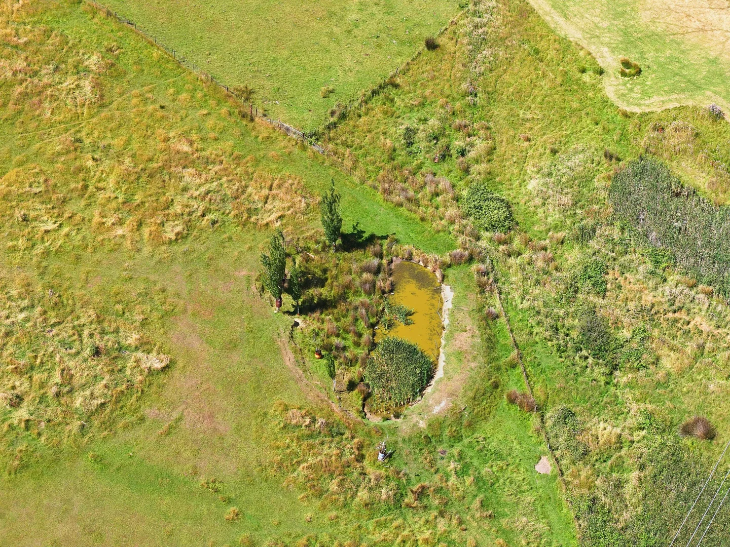 Image 20