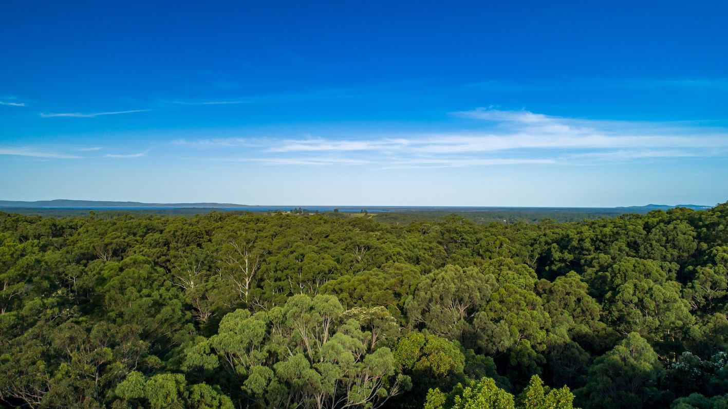 Lot 7 Davis Road, Cootharaba QLD 4565, Image 0