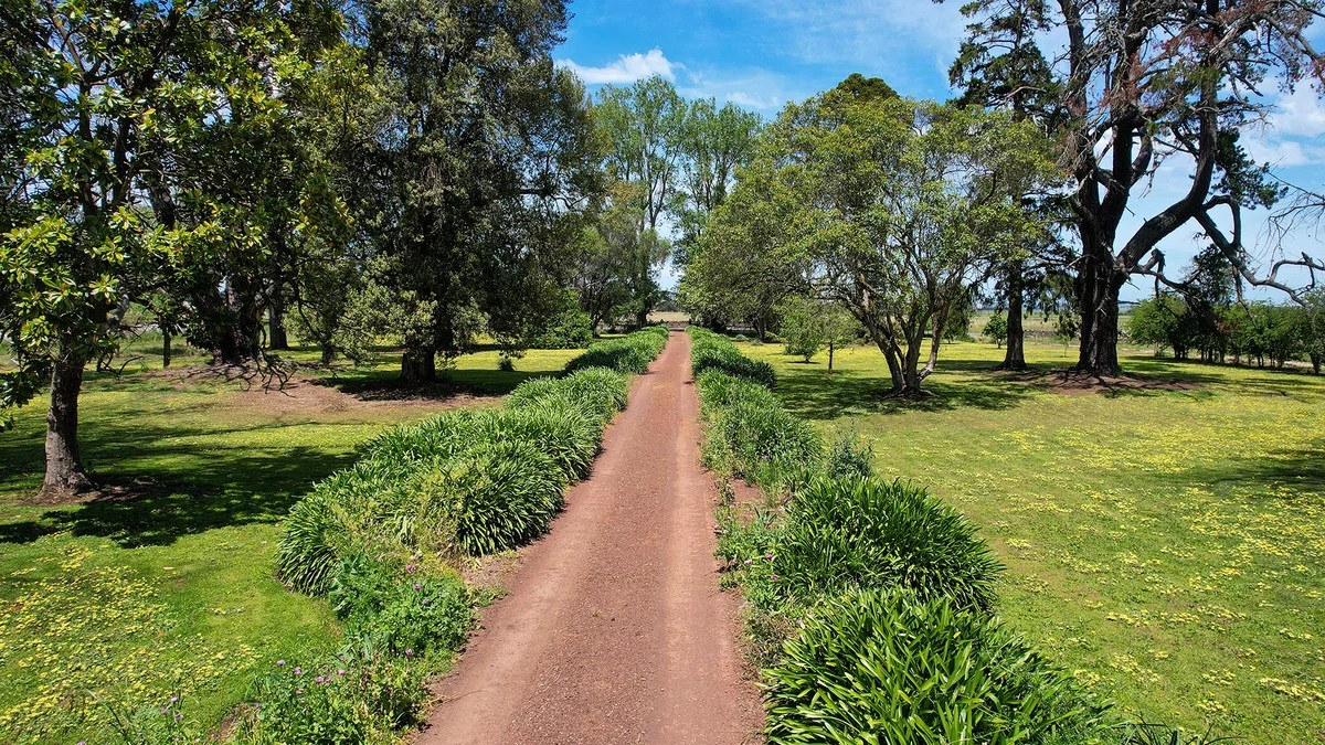 Additional image 27 of "Myrtle Grove"/1050 Terang-Mortlake Road, Kolora VIC 3265