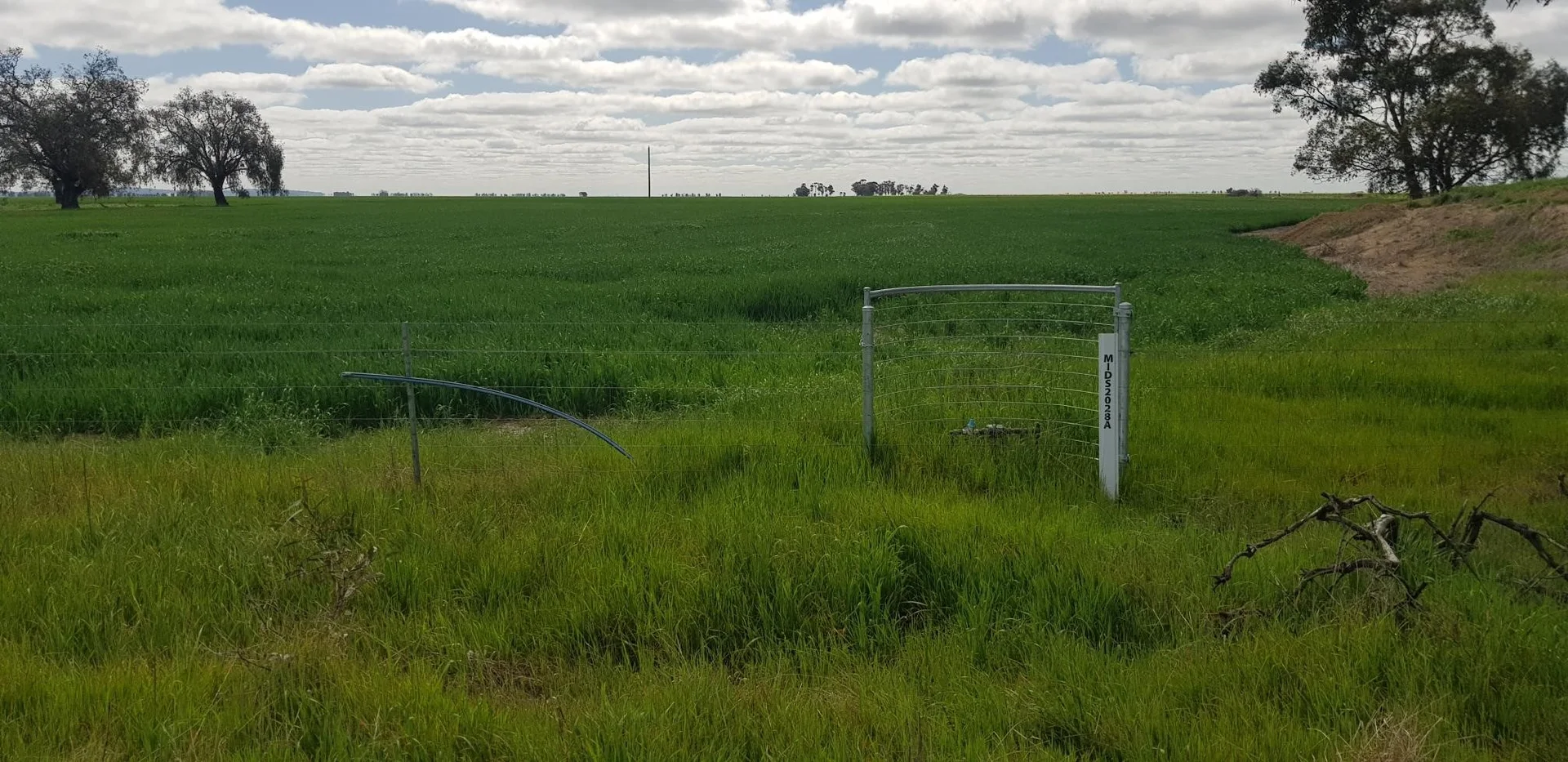 Image 8