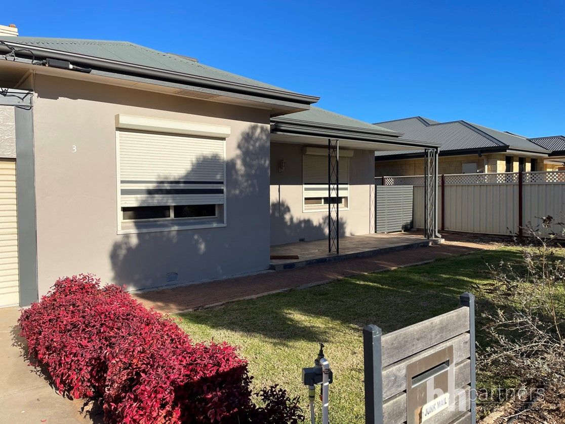 3 Hameister Avenue, Loxton SA 5333 House For Rent Domain