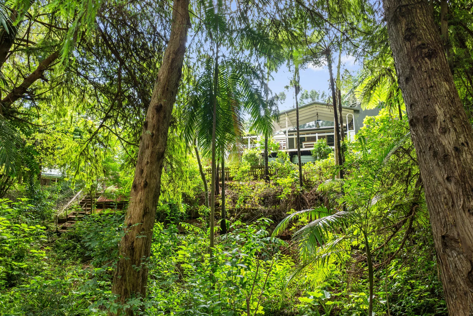 Additional image 32 of 56 Gumland Drive, Witta QLD 4552