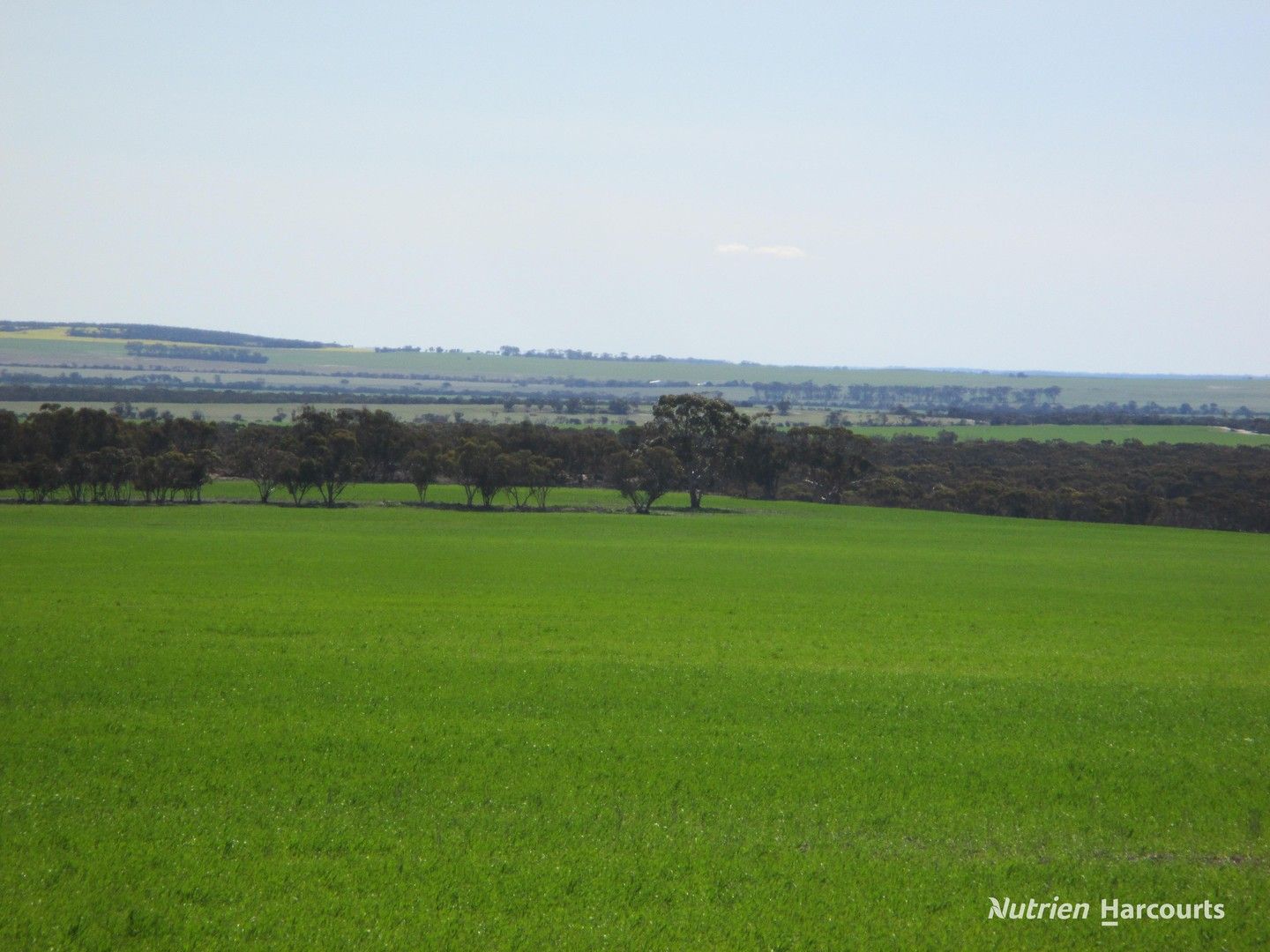 4691 Kulin-Holt Rock Road, Pingaring WA 6357 - Farm for Sale | Domain