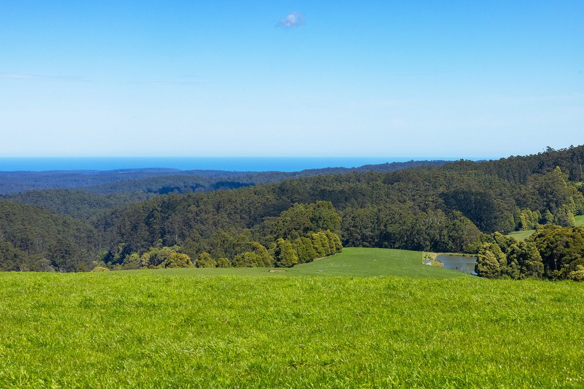 245 Phillips Track, Beech Forest VIC 3237, Image 2
