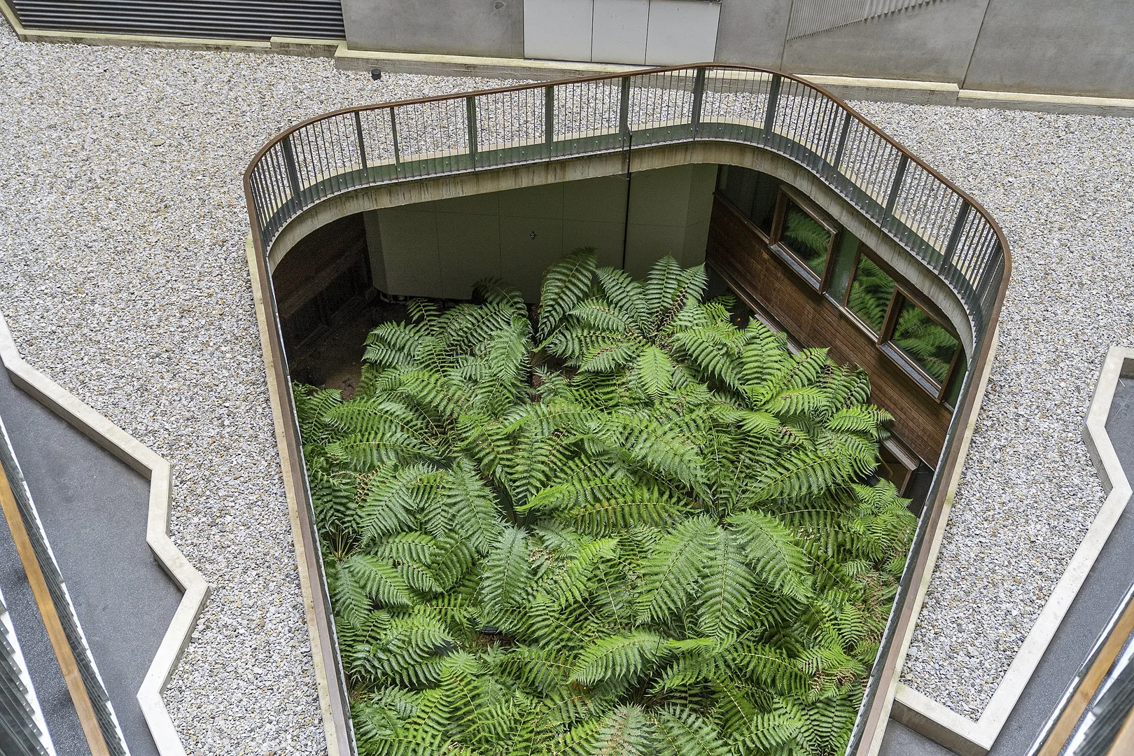 Image 20
