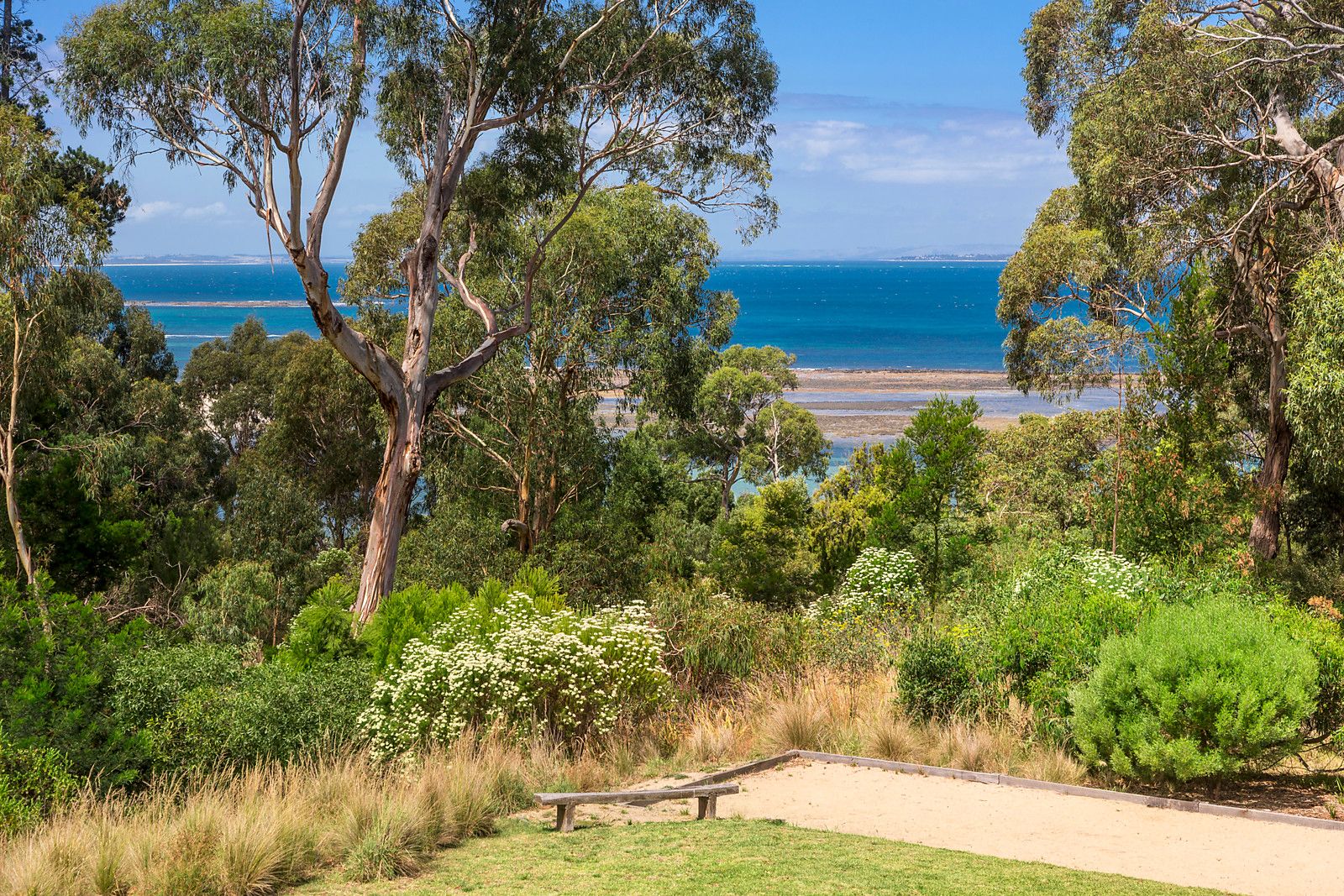 41 Cliff Road, Shoreham VIC 3916, Image 0