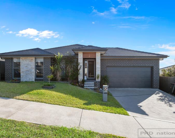 2 Pandanus Circuit, Bolwarra NSW 2320