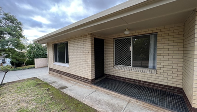 Picture of 1/39 Gilbert Street, OVINGHAM SA 5082