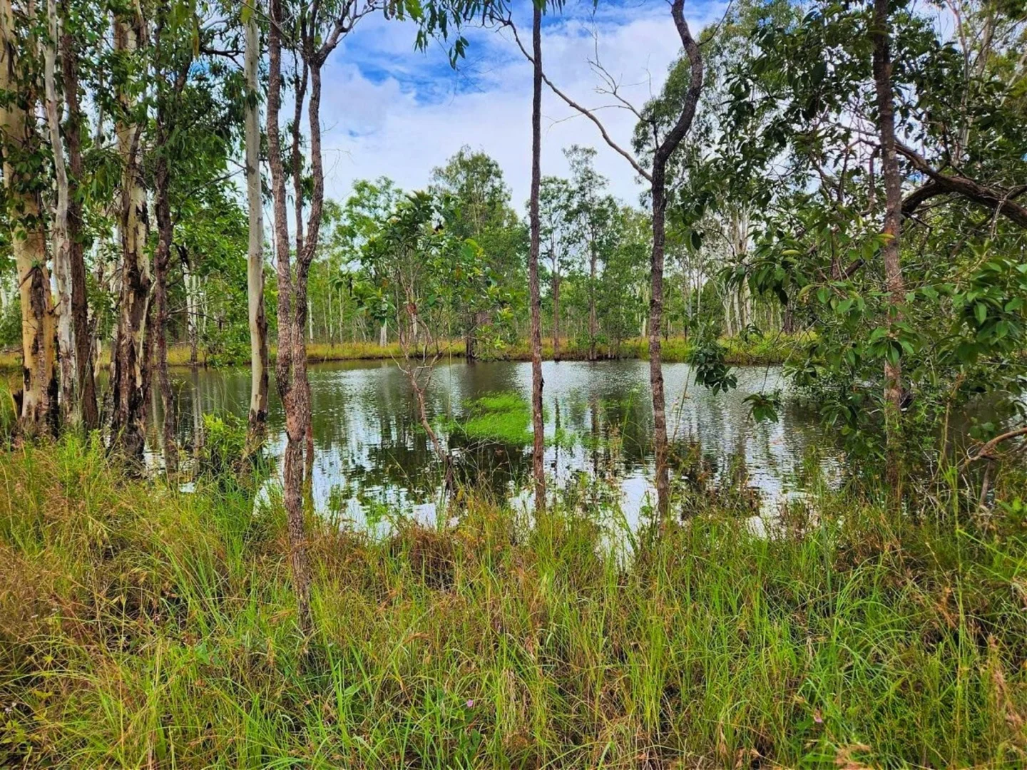 Additional image 13 of 24 Dalrymple Drive, Millstream QLD 4888