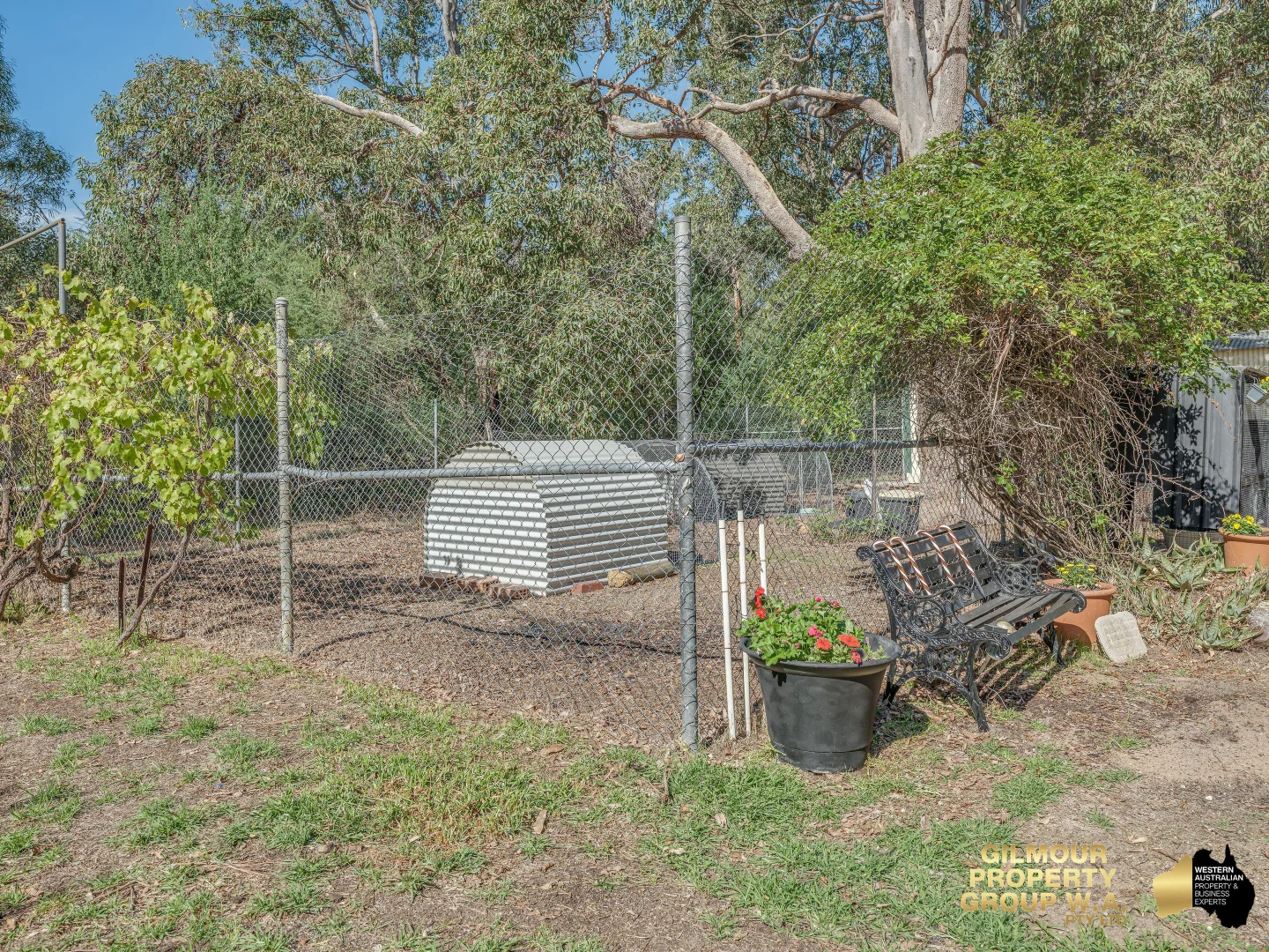 Image 20