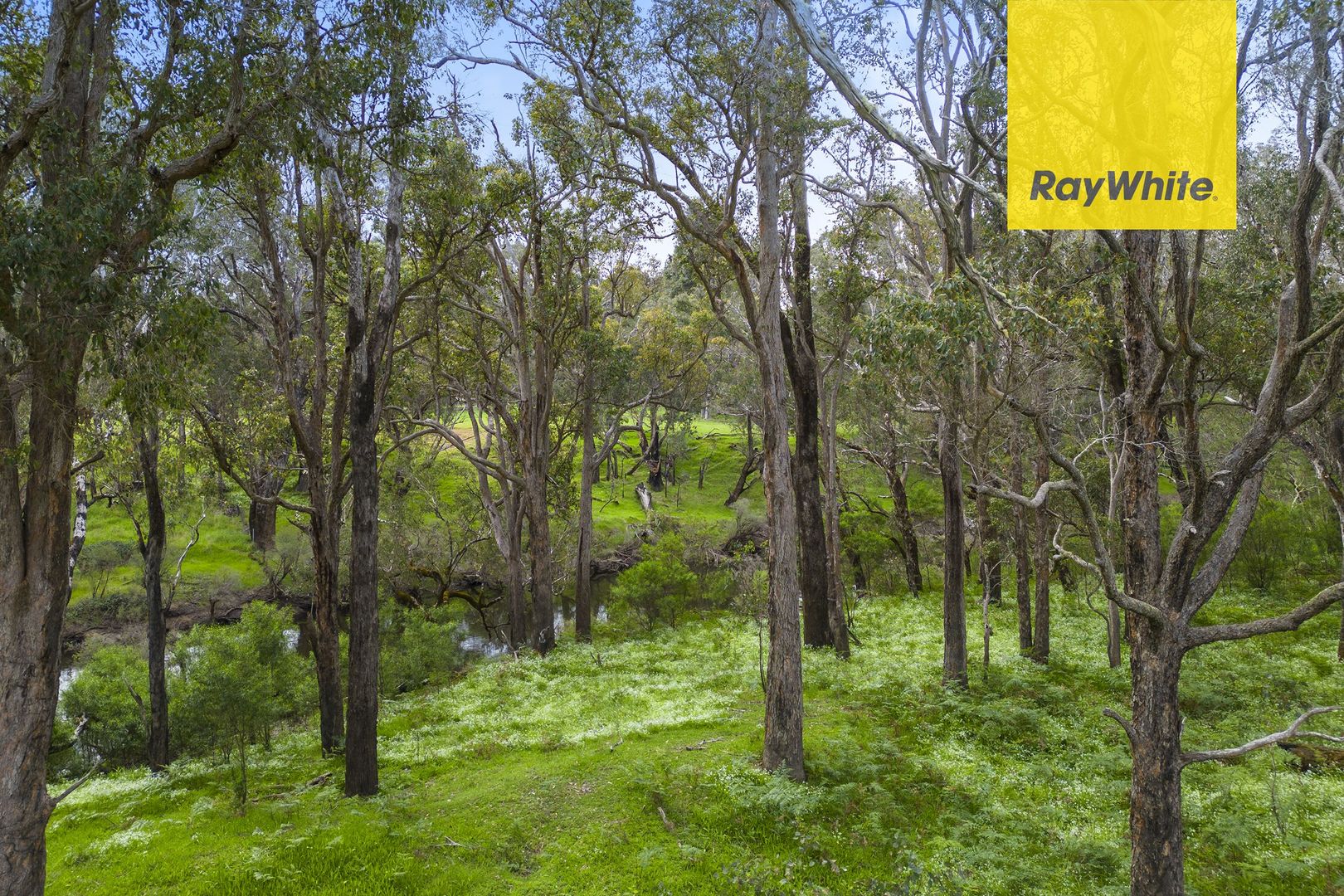 150 Bogadillup Road, Nannup WA 6275, Image 2