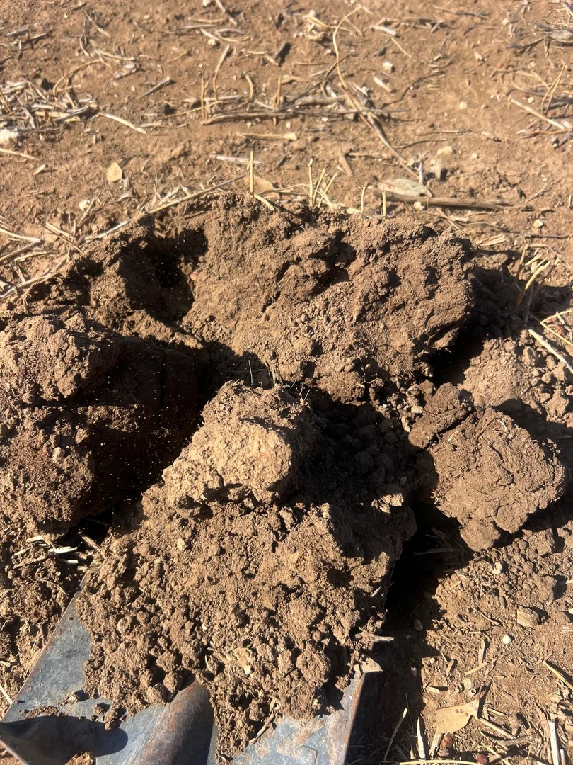 Additional image 5 of Aubrey Road Cannum, Cannum VIC 3393