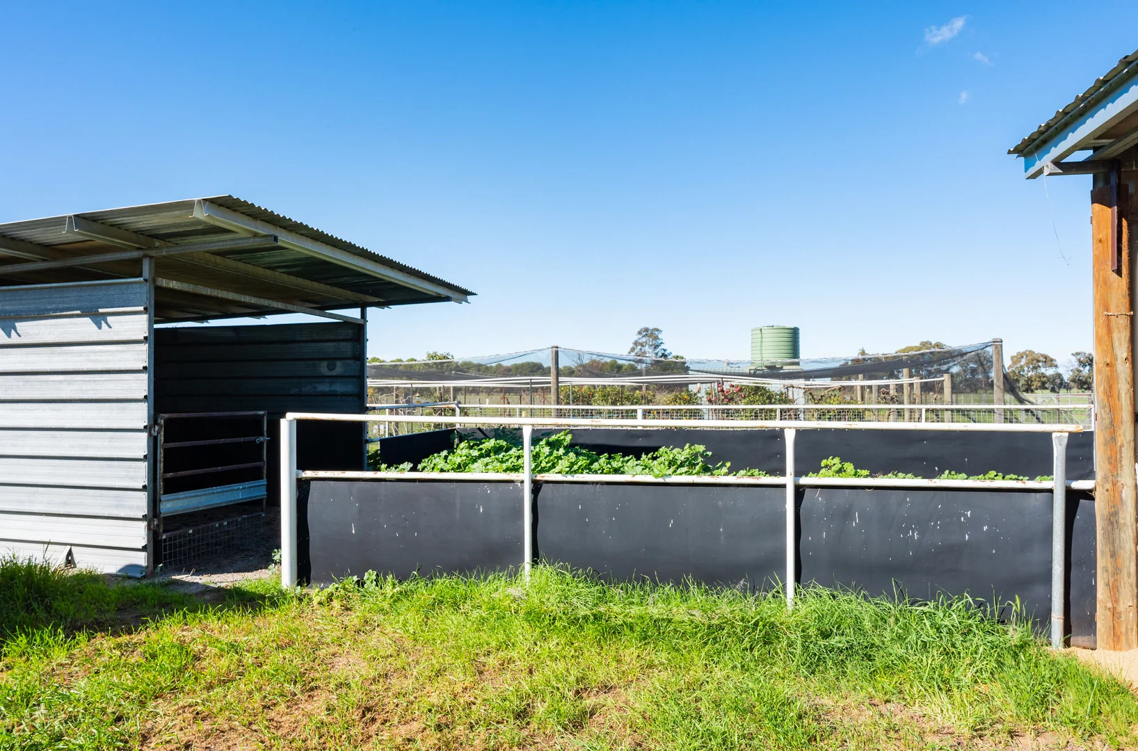 Additional image 23 of 290 Savernake Road, Mulwala NSW 2647