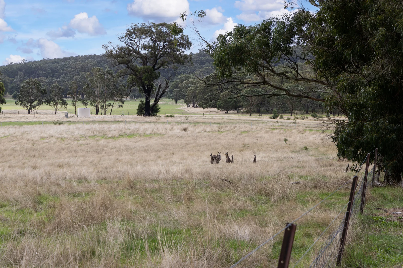 Additional image 5 of Lot 28 Mills Road, Lal Lal VIC 3352