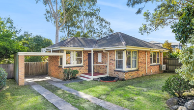 Picture of 1A Richardson Street, BOX HILL SOUTH VIC 3128