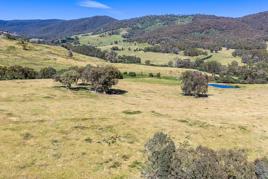 Image 15