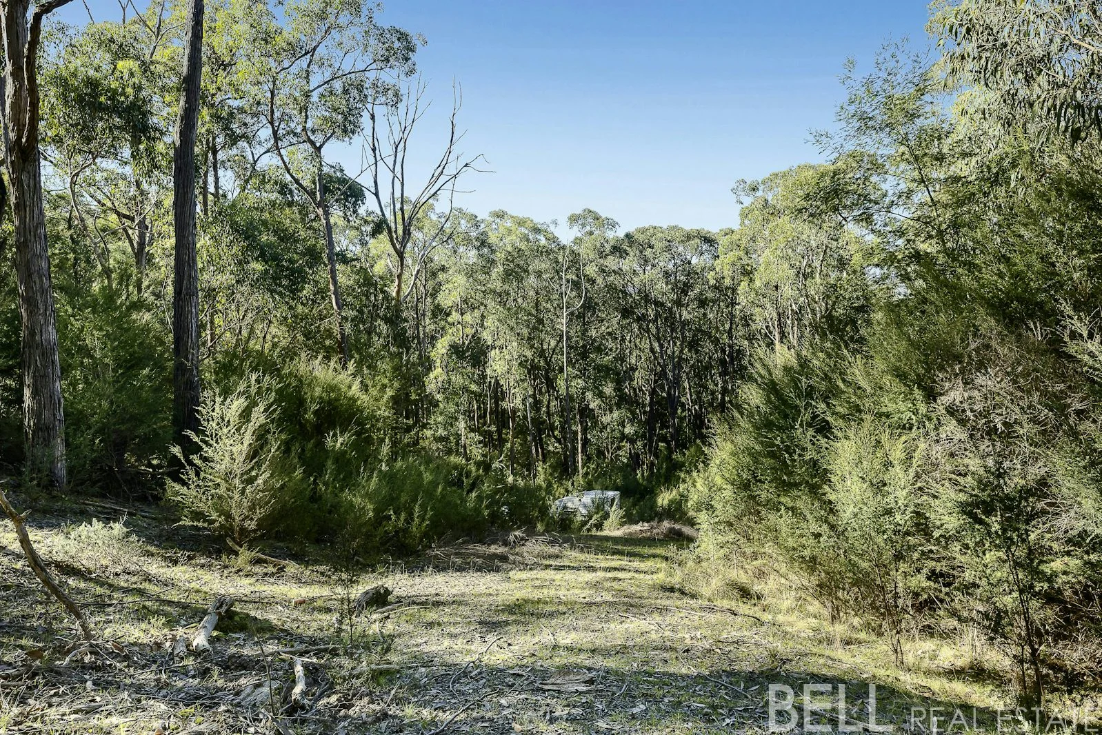 Image 10