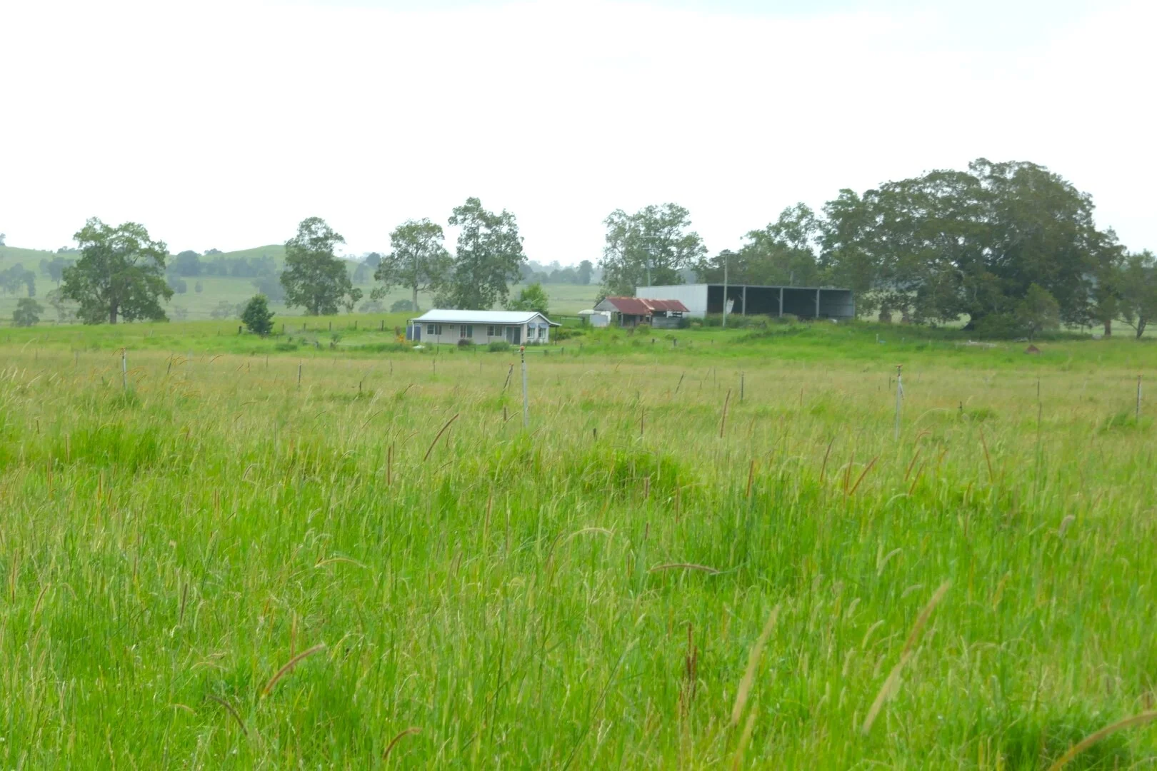 Image 37