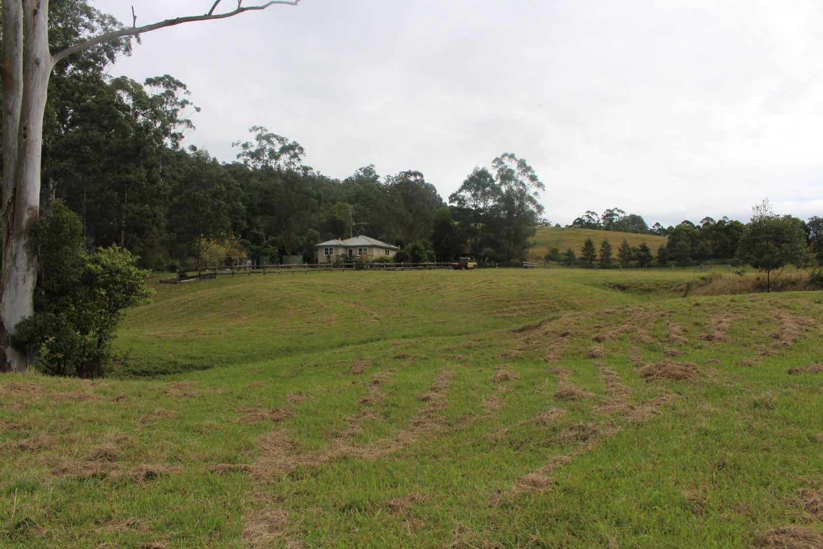 86 Butts Creek Rd, Taylors Arm NSW 2447, Image 1