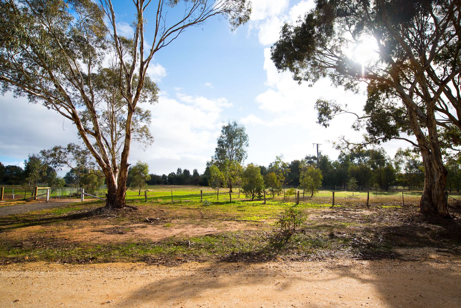 9 Mc Nabb Road, Newstead VIC 3462, Image 1