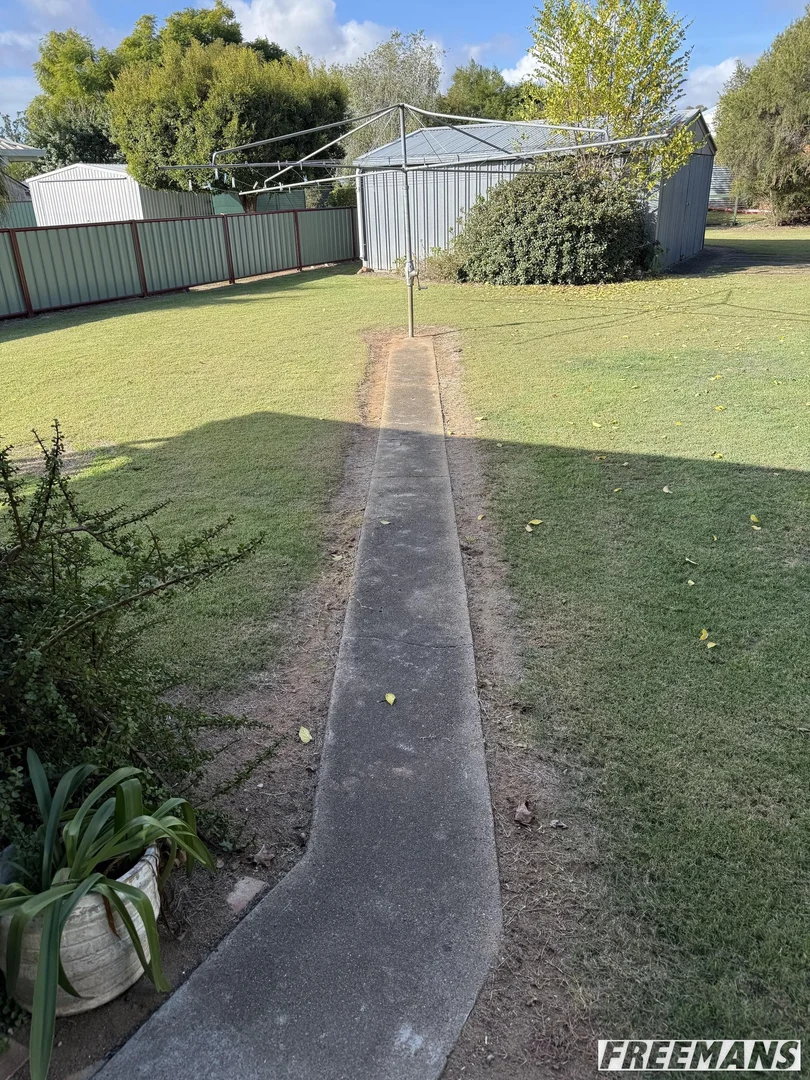 Image 22