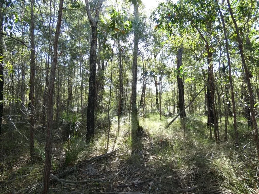 Additional image 33 of 960 Pacific Drive, Deepwater QLD 4674