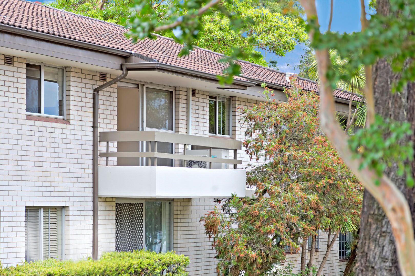 7/2 Corby Avenue, Concord NSW 2137 Apartment For Rent Domain